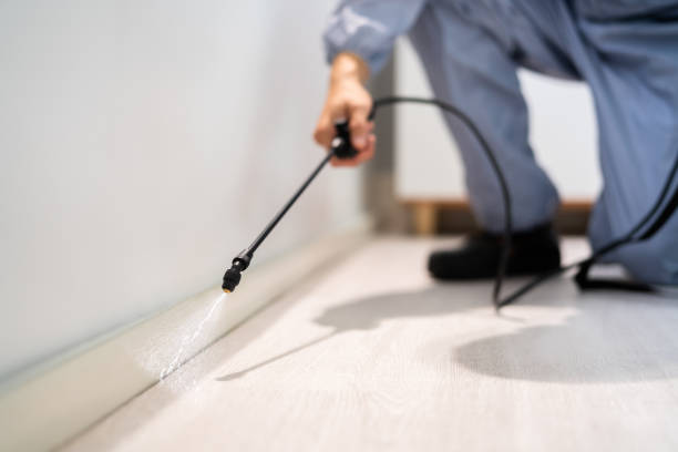 Rodent Entry Point Assessment in Lenoir City