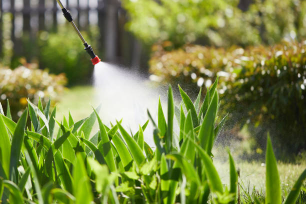 Tamper-Resistant Bait Stations for Rodents in Lenoir City