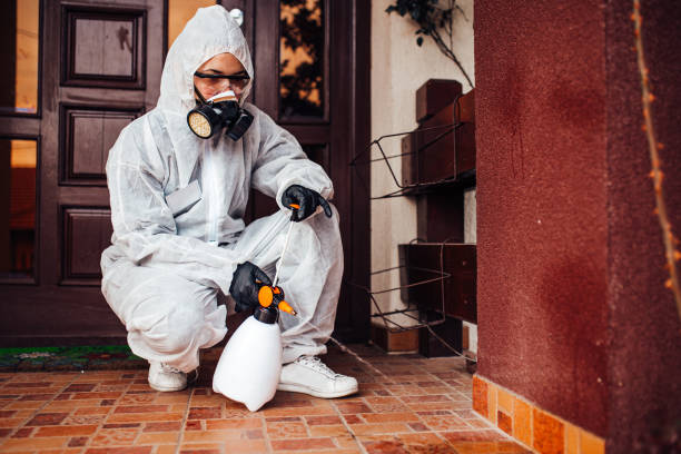 Attic and Crawl Space Rodent Treatment in Lenoir City